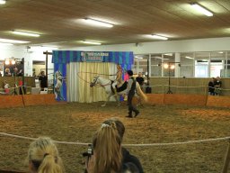 IMG_5253_web